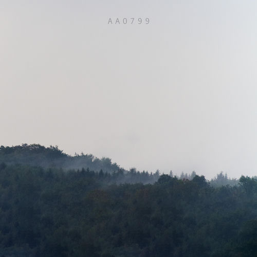 AA0799 cover art