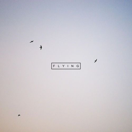Flying cover art