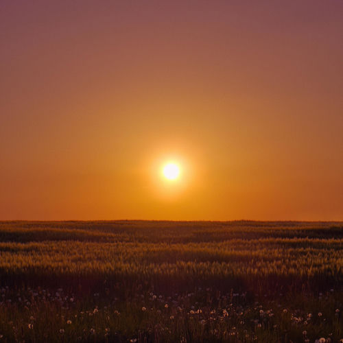 Golden Hour cover art