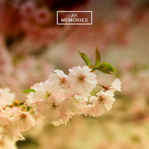 Memories cover art