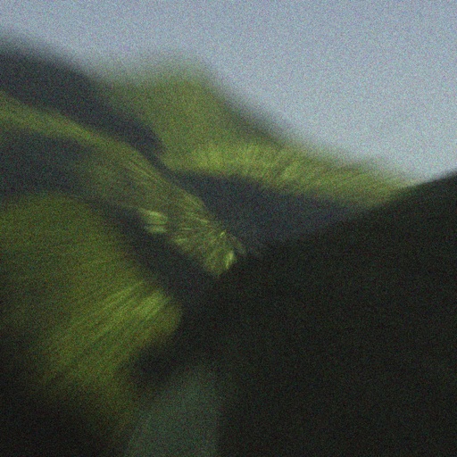 Open Fields cover art