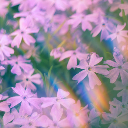 Peace of Mind cover art