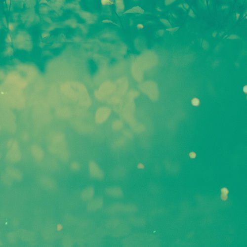 Raindrops cover art