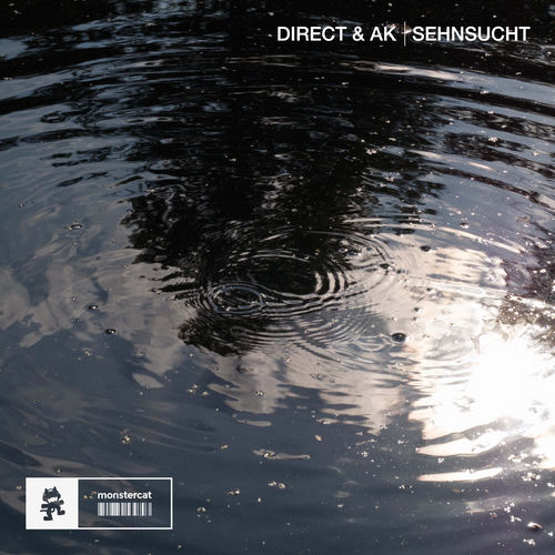 Sehnsucht cover art