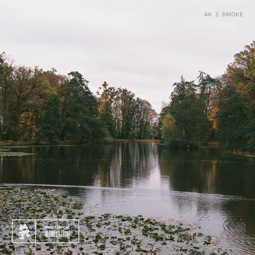 Smoke cover art