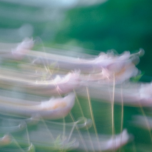 Soft Touch cover art