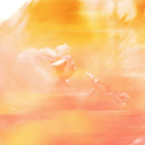 Something You Love cover art